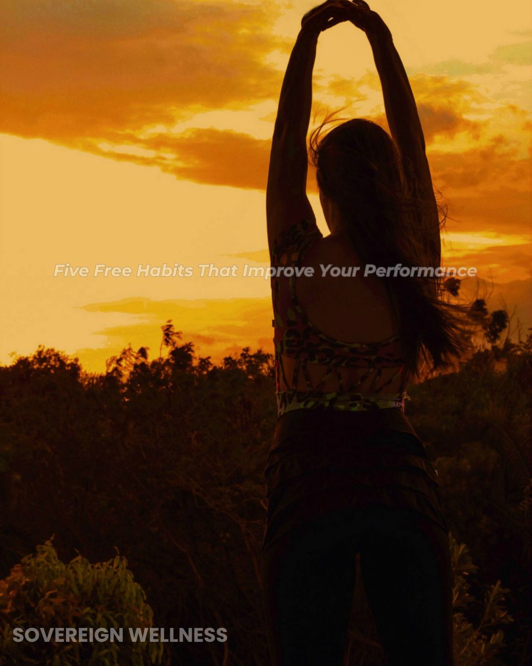 Five free Habits That Improve Your Performance